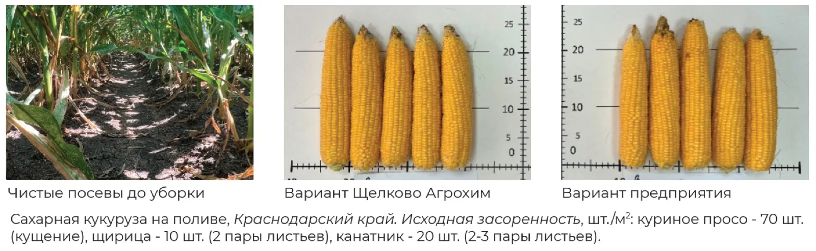 Эффективность Депримо, МД в Краснодарском крае Свернуть
