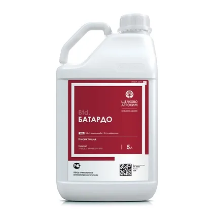 Batardo, MD