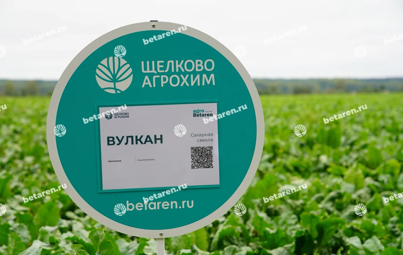 Vulkan — Сравнение / полева снимка 7