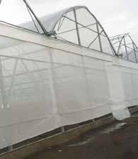 NUFERTO Protective bee net 10–20%